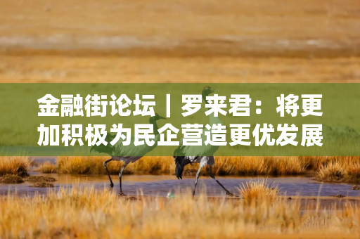 金融街论坛｜罗来君：将更加积极为民企营造更优发展环境