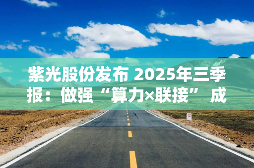 紫光股份发布 2025年三季报：做强“算力×联接” 成就强劲高增长