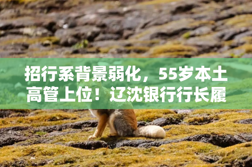 招行系背景弱化，55岁本土高管上位！辽沈银行行长履新，来自辽宁农商行