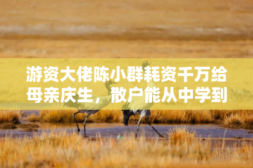 游资大佬陈小群耗资千万给母亲庆生，散户能从中学到什么？