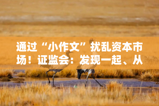通过“小作文”扰乱资本市场!证监会:发现一起、从严查处一起 通过“小作文”扰乱资本市场!证监会:发现一起、从严查处一起