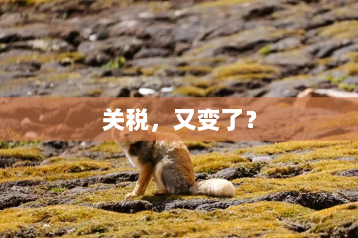 关税，又变了？