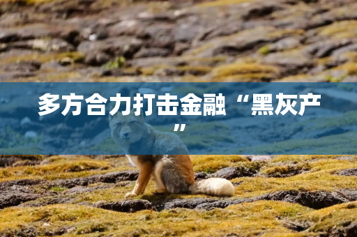 多方合力打击金融“黑灰产”