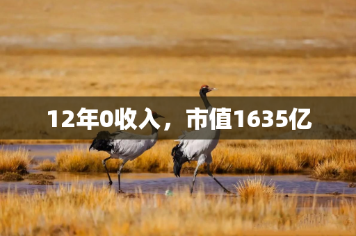12年0收入，市值1635亿