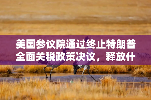 美国参议院通过终止特朗普全面关税政策决议,释放什么信号?还没完? 美国参议院通过终止特朗普全面关税政策决议,释放什么信号?还没完?