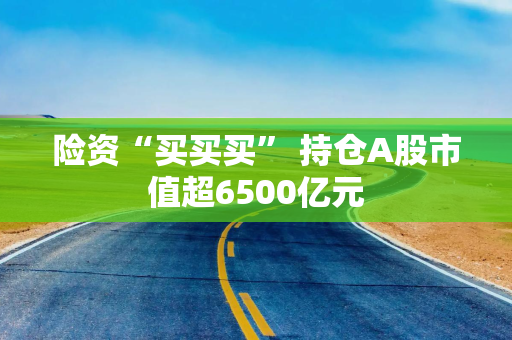 险资“买买买” 持仓A股市值超6500亿元 险资“买买买” 持仓A股市值超6500亿元