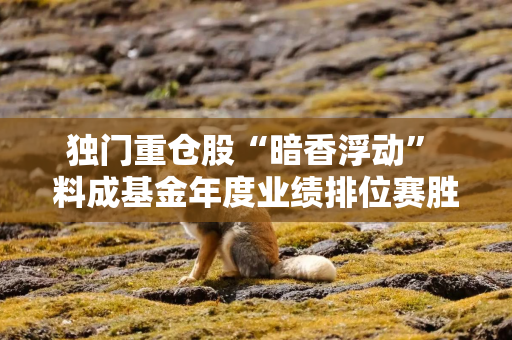 独门重仓股“暗香浮动” 料成基金年度业绩排位赛胜负手 独门重仓股“暗香浮动” 料成基金年度业绩排位赛胜负手