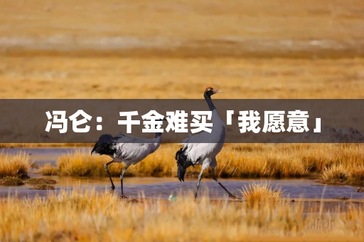 冯仑：千金难买「我愿意」