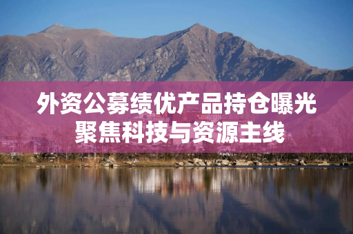 外资公募绩优产品持仓曝光 聚焦科技与资源主线 外资公募绩优产品持仓曝光 聚焦科技与资源主线