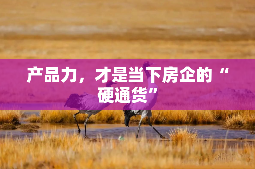 产品力，才是当下房企的“硬通货”