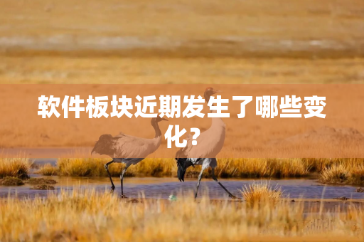 软件板块近期发生了哪些变化? 软件板块近期发生了哪些变化?