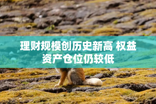 理财规模创历史新高 权益资产仓位仍较低