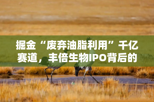 掘金“废弃油脂利用”千亿赛道，丰倍生物IPO背后的生物基崛起潮