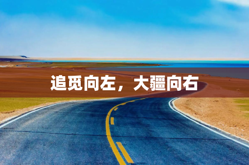 追觅向左,大疆向右 追觅向左,大疆向右