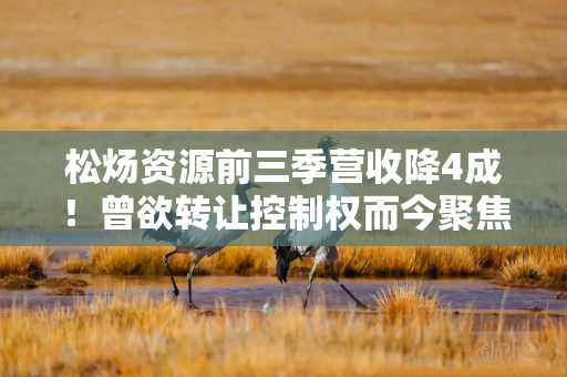 松炀资源前三季营收降4成！曾欲转让控制权而今聚焦主业，引入长江汇丰服务指导