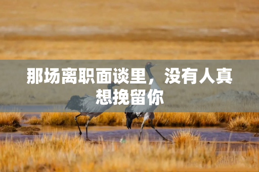 那场离职面谈里，没有人真想挽留你