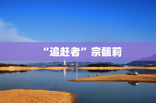 “追赶者”宗馥莉 “追赶者”宗馥莉