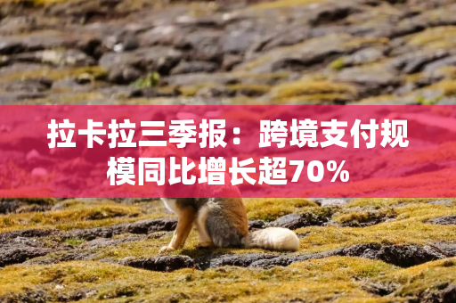 拉卡拉三季报:跨境支付规模同比增长超70% 拉卡拉三季报:跨境支付规模同比增长超70%