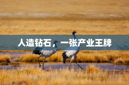 人造钻石，一张产业王牌