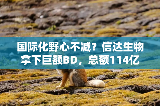 国际化野心不减?信达生物拿下巨额BD,总额114亿美元创纪录,股价不涨反跌 国际化野心不减?信达生物拿下巨额BD,总额114亿美元创纪录,股价不涨反跌