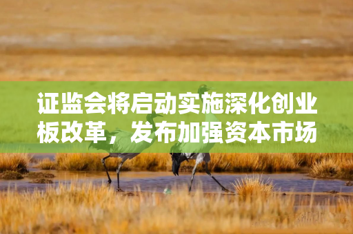 证监会将启动实施深化创业板改革，发布加强资本市场中小投资者保护的若干意见