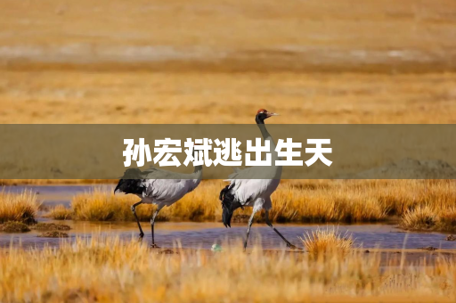 孙宏斌逃出生天 孙宏斌逃出生天