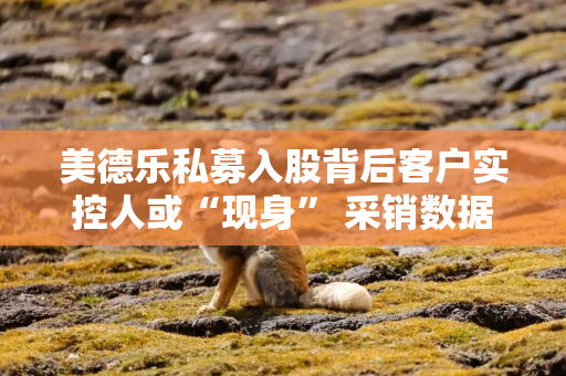 美德乐私募入股背后客户实控人或“现身” 采销数据上演罗生门 美德乐私募入股背后客户实控人或“现身” 采销数据上演罗生门