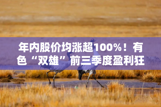 年内股价均涨超100%！有色“双雄”前三季度盈利狂飙，存货规模仍高企