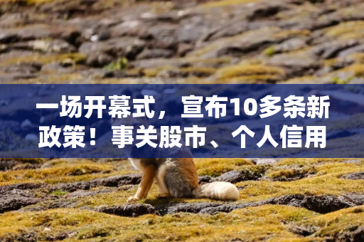 一场开幕式,宣布10多条新政策!事关股市、个人信用、投资者保护…… 一场开幕式,宣布10多条新政策!事关股市、个人信用、投资者保护……