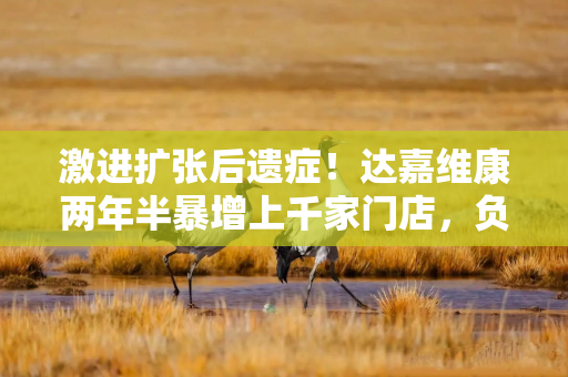 激进扩张后遗症！达嘉维康两年半暴增上千家门店，负债前行下前三季度扣非净利不足400万元