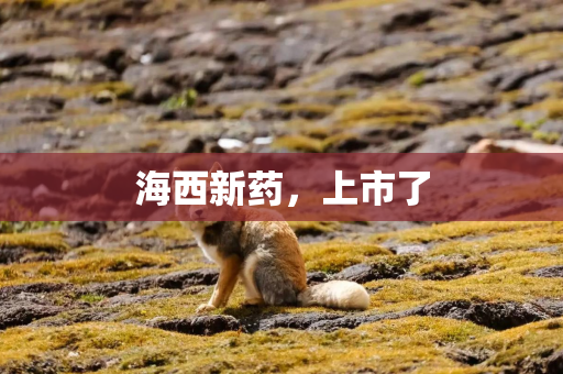 海西新药，上市了