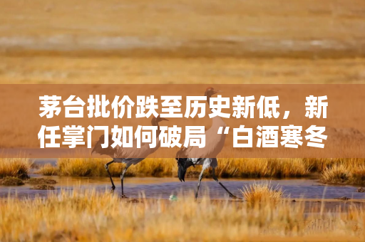 茅台批价跌至历史新低,新任掌门如何破局“白酒寒冬”? 茅台批价跌至历史新低,新任掌门如何破局“白酒寒冬”?