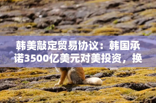 韩美敲定贸易协议：韩国承诺3500亿美元对美投资，换取汽车15%关税、半导体产业关税优待