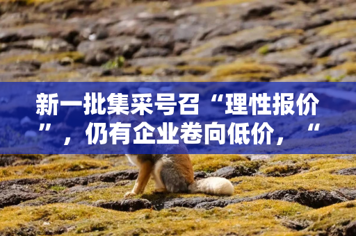 新一批集采号召“理性报价”，仍有企业卷向低价，“流感药王”意外出局