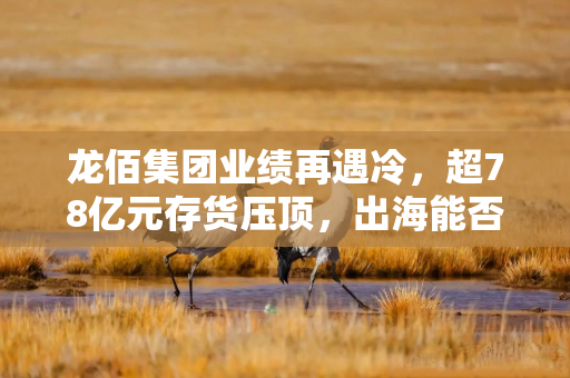 龙佰集团业绩再遇冷，超78亿元存货压顶，出海能否寻得破局“良方”？