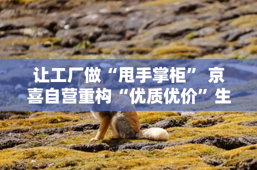 让工厂做“甩手掌柜” 京喜自营重构“优质优价”生态圈