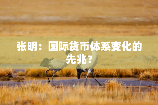 张明：国际货币体系变化的先兆？