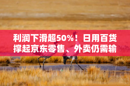 利润下滑超50%！日用百货撑起京东零售、外卖仍需输血