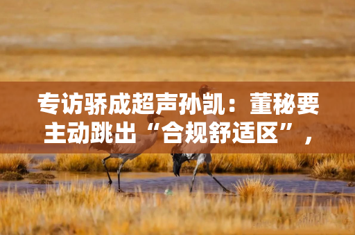 专访骄成超声孙凯:董秘要主动跳出“合规舒适区”,跃升为“战略价值整合者” 专访骄成超声孙凯:董秘要主动跳出“合规舒适区”,跃升为“战略价值整合者”