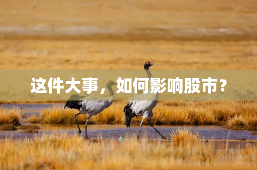 这件大事，如何影响股市？