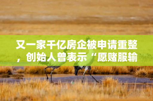 又一家千亿房企被申请重整，创始人曾表示“愿赌服输”