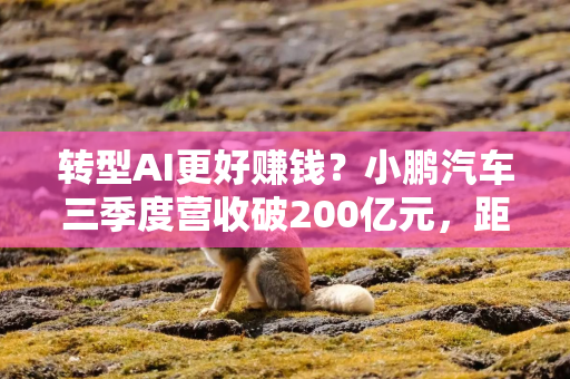 转型AI更好赚钱？小鹏汽车三季度营收破200亿元，距盈亏平衡点只差3.8亿元