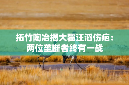 拓竹陶冶揭大疆汪滔伤疤：两位垄断者终有一战