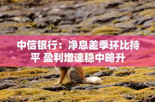 中信银行：净息差季环比持平 盈利增速稳中略升