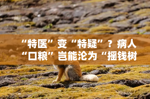 “特医”变“特疑”?病人“口粮”岂能沦为“摇钱树” “特医”变“特疑”?病人“口粮”岂能沦为“摇钱树”