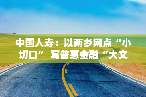 中国人寿：以两乡网点“小切口” 写普惠金融“大文章”