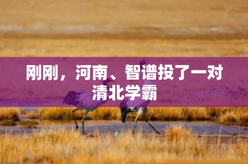刚刚,河南、智谱投了一对清北学霸 刚刚,河南、智谱投了一对清北学霸