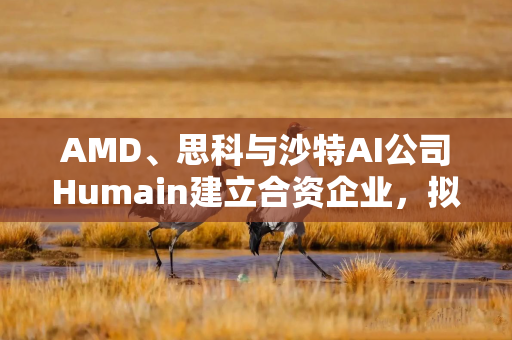 AMD、思科与沙特AI公司Humain建立合资企业，拟5年内建成1吉瓦数据中心