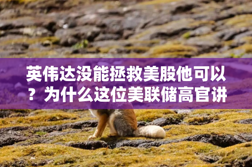 英伟达没能拯救美股他可以？为什么这位美联储高官讲话很重要