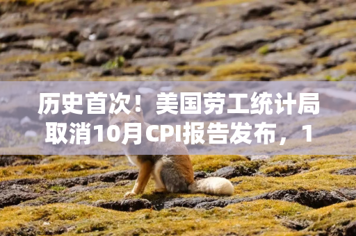 历史首次!美国劳工统计局取消10月CPI报告发布,11月报告不含环比涨幅 历史首次!美国劳工统计局取消10月CPI报告发布,11月报告不含环比涨幅